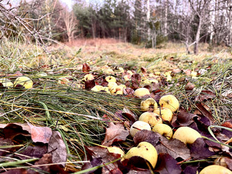 Similar image 22080441