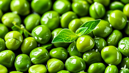 Similar image 22074940