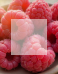 Similar image 22074950