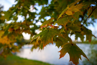 Similar image 22089103