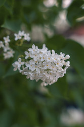 Similar image 22090059