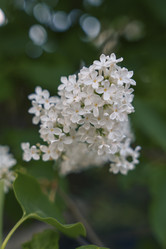 Similar image 22090151