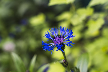 Similar image 22090153