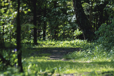 Similar image 22090154