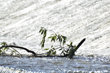 Similar image 22084102