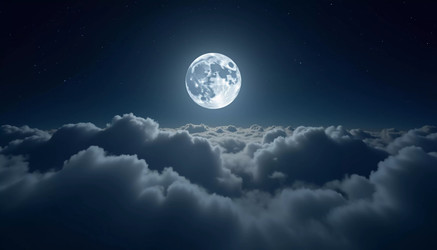 Similar image 22075016