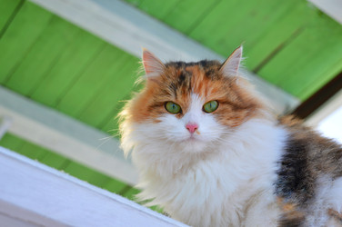 Similar image 22081448