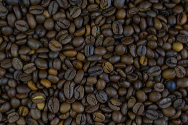 Similar image 22088387