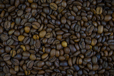 Similar image 22088479