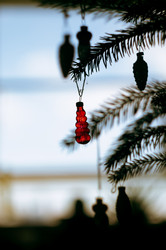 Similar image 22081469