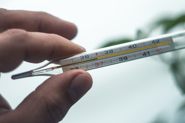 Similar image 22081261