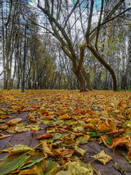 Similar image 22080704