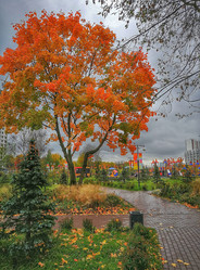 Similar image 22080706