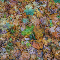 Similar image 22080707