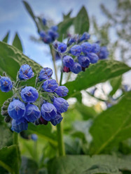 Similar image 22080708