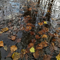 Similar image 22080709