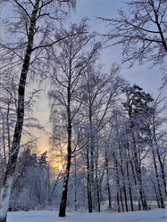 Similar image 22080712