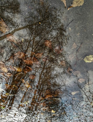 Similar image 22080713