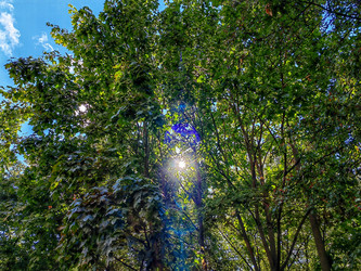 Similar image 22080714