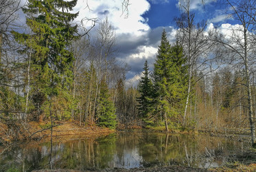 Similar image 22080718