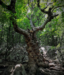 Similar image 22080719