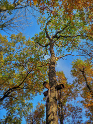 Similar image 22080724