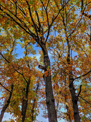 Similar image 22080725