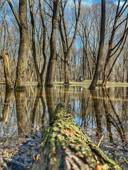 Similar image 22080728