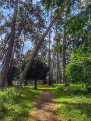 Similar image 22080733