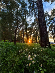 Similar image 22080735