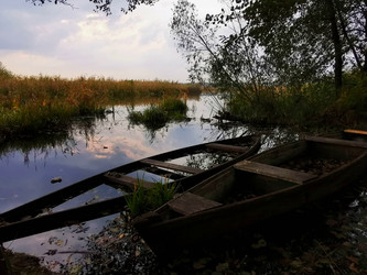 Similar image 22080736