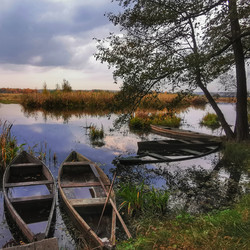 Similar image 22080738