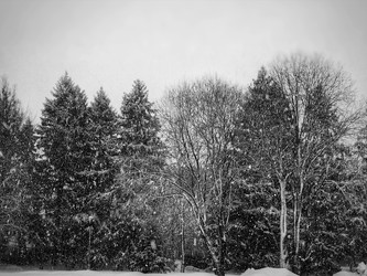 Similar image 22080739