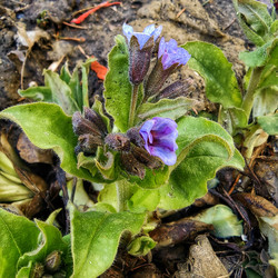 Similar image 22080740