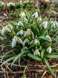 Similar image 22080743