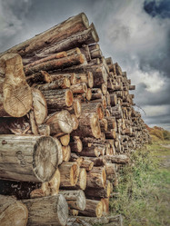 Similar image 22080745