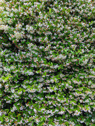 Similar image 22080748