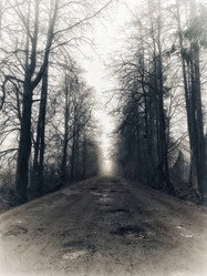 Similar image 22080749