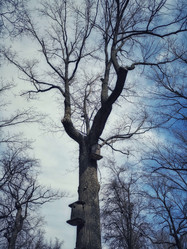 Similar image 22080751