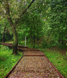 Similar image 22080757