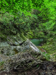 Similar image 22080758