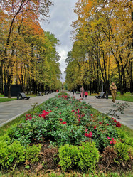 Similar image 22080762