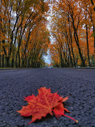 Similar image 22080766