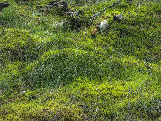 Similar image 22080776