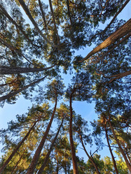 Similar image 22080778