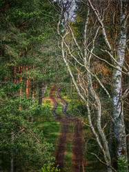 Similar image 22080779