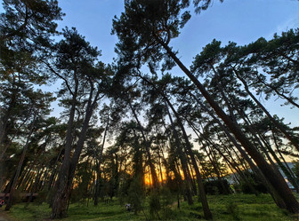 Similar image 22080780