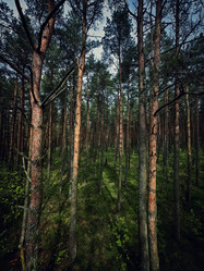 Similar image 22080782