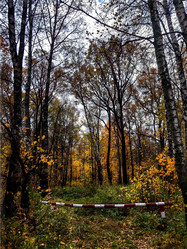 Similar image 22080783