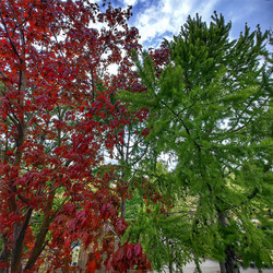 Similar image 22080788